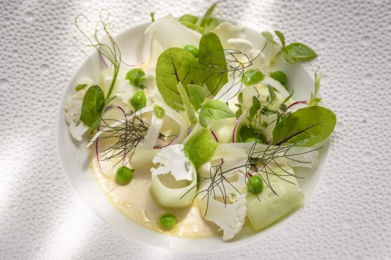Le Carré d'Alethius · Hôtel Restaurant Valence Sud